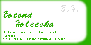 botond holecska business card